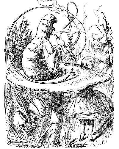 Alice meeting with the Caterpillar Alice meeting with the Caterpillar